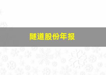 隧道股份年报