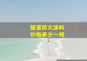 隧道防火涂料价格多少一吨