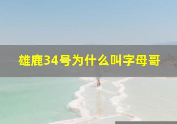 雄鹿34号为什么叫字母哥