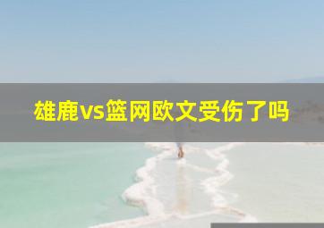 雄鹿vs篮网欧文受伤了吗