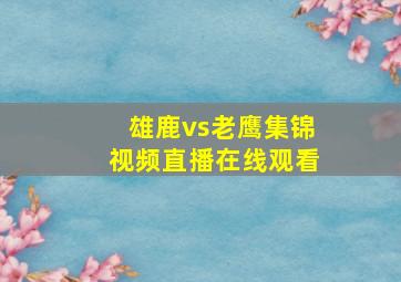 雄鹿vs老鹰集锦视频直播在线观看