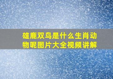 雄鹿双鸟是什么生肖动物呢图片大全视频讲解