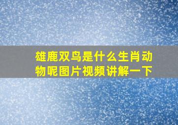 雄鹿双鸟是什么生肖动物呢图片视频讲解一下