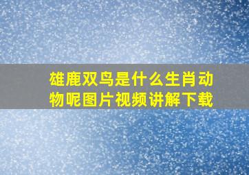 雄鹿双鸟是什么生肖动物呢图片视频讲解下载