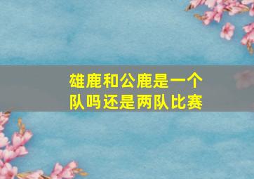 雄鹿和公鹿是一个队吗还是两队比赛