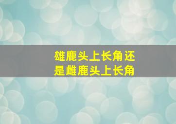 雄鹿头上长角还是雌鹿头上长角