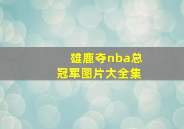 雄鹿夺nba总冠军图片大全集