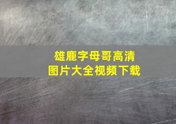 雄鹿字母哥高清图片大全视频下载