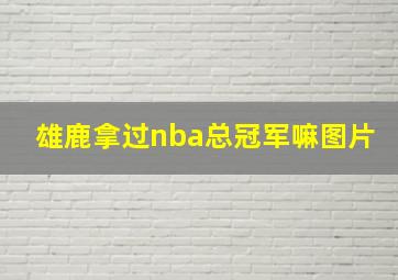 雄鹿拿过nba总冠军嘛图片