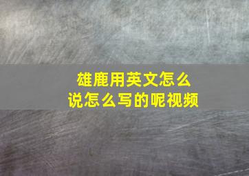 雄鹿用英文怎么说怎么写的呢视频