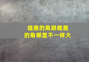 雄鹿的角跟雌鹿的角哪里不一样大