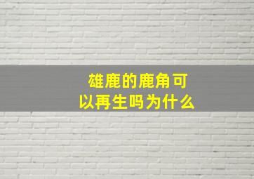 雄鹿的鹿角可以再生吗为什么