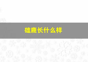 雄鹿长什么样