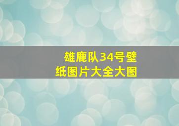 雄鹿队34号壁纸图片大全大图