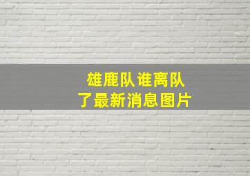 雄鹿队谁离队了最新消息图片