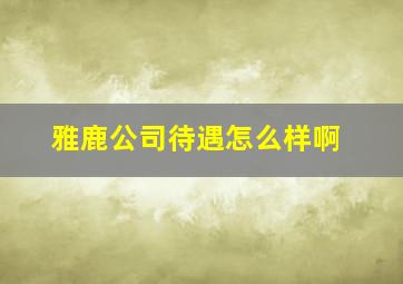 雅鹿公司待遇怎么样啊