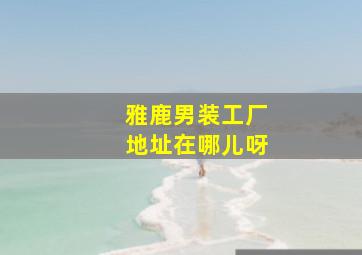 雅鹿男装工厂地址在哪儿呀