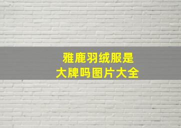 雅鹿羽绒服是大牌吗图片大全