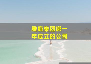 雅鹿集团哪一年成立的公司