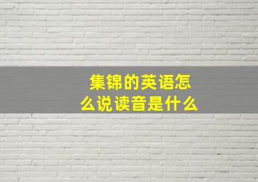 集锦的英语怎么说读音是什么