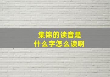 集锦的读音是什么字怎么读啊