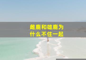 雌鹿和雄鹿为什么不住一起