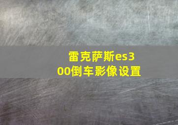 雷克萨斯es300倒车影像设置