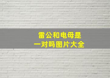 雷公和电母是一对吗图片大全