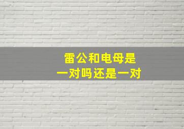 雷公和电母是一对吗还是一对