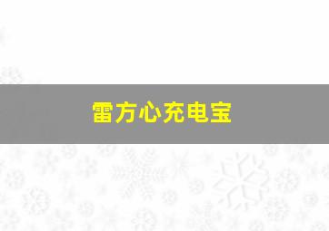 雷方心充电宝