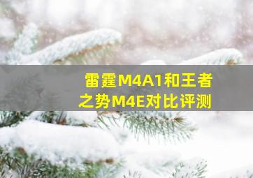 雷霆M4A1和王者之势M4E对比评测