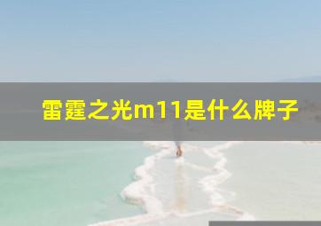 雷霆之光m11是什么牌子