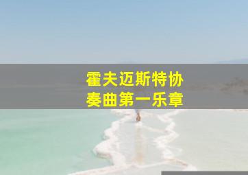 霍夫迈斯特协奏曲第一乐章