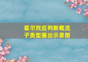 霍尔效应判断载流子类型画出示意图