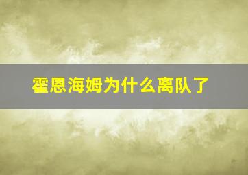 霍恩海姆为什么离队了