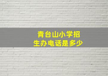 青台山小学招生办电话是多少