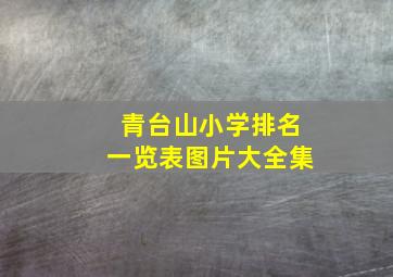 青台山小学排名一览表图片大全集