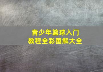 青少年篮球入门教程全彩图解大全