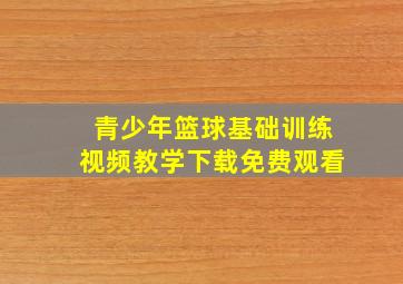 青少年篮球基础训练视频教学下载免费观看