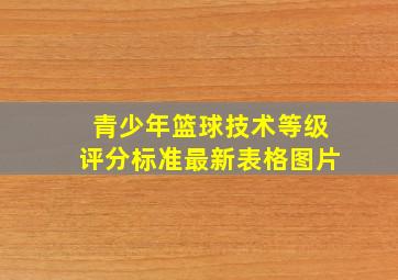 青少年篮球技术等级评分标准最新表格图片