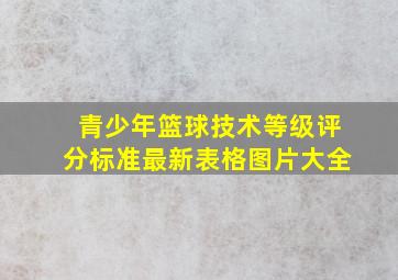 青少年篮球技术等级评分标准最新表格图片大全