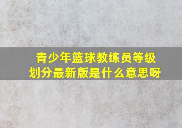 青少年篮球教练员等级划分最新版是什么意思呀