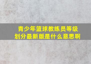 青少年篮球教练员等级划分最新版是什么意思啊