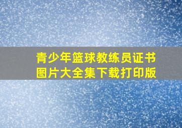 青少年篮球教练员证书图片大全集下载打印版