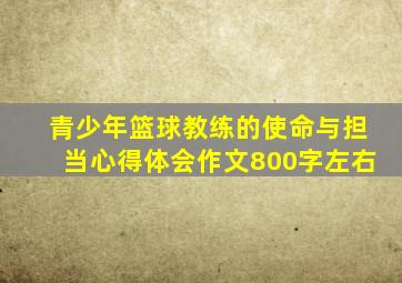 青少年篮球教练的使命与担当心得体会作文800字左右