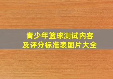 青少年篮球测试内容及评分标准表图片大全