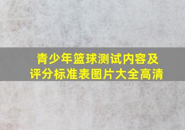 青少年篮球测试内容及评分标准表图片大全高清