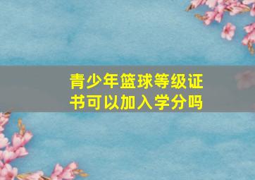 青少年篮球等级证书可以加入学分吗