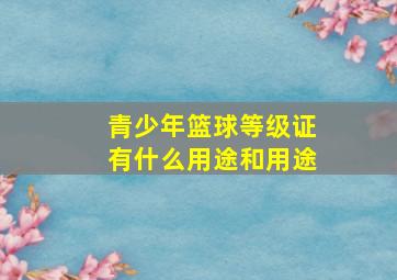 青少年篮球等级证有什么用途和用途