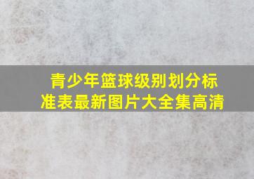 青少年篮球级别划分标准表最新图片大全集高清